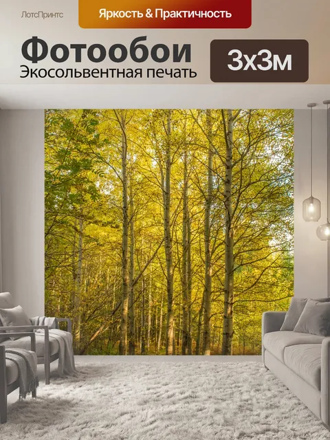 Фотообои Лес