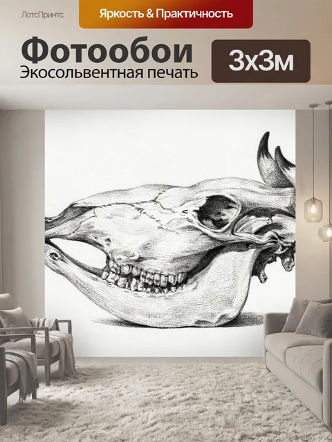 Фотообои Череп рогатый скот винтаж