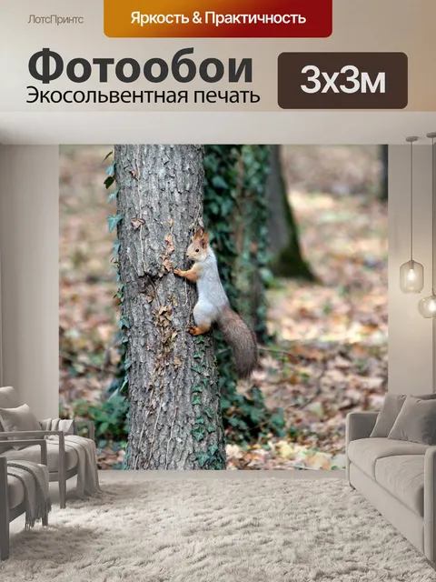Фотообои Белка