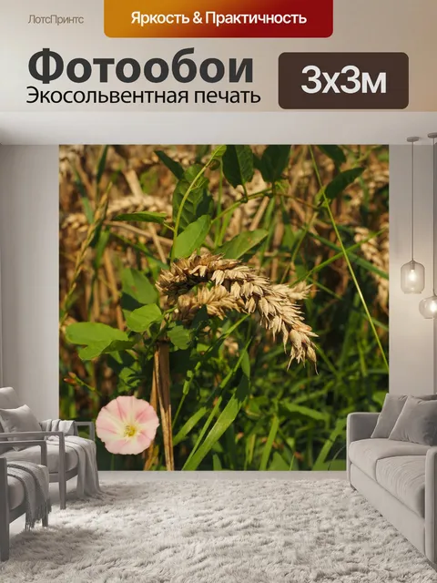 Фотообои Пшеничный колос
