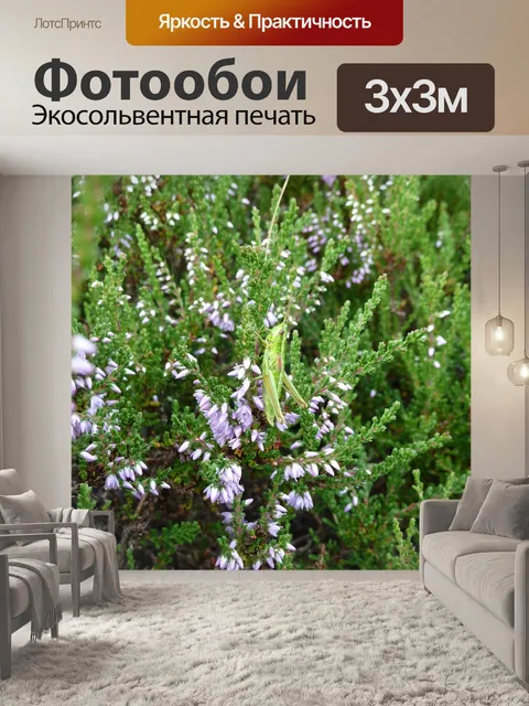 Фотообои Кузнечик