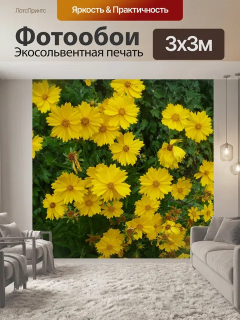 Фотообои Космос завод