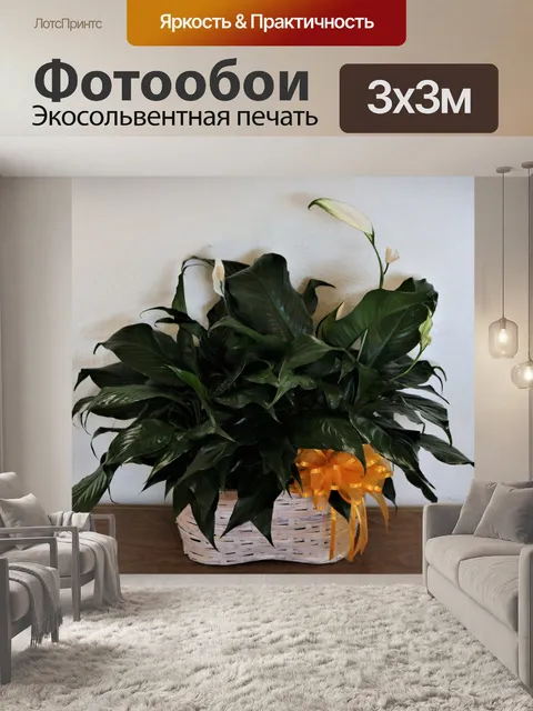 Фотообои Мирная лилия