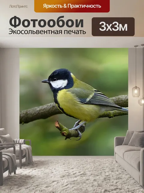Фотообои Большая синица
