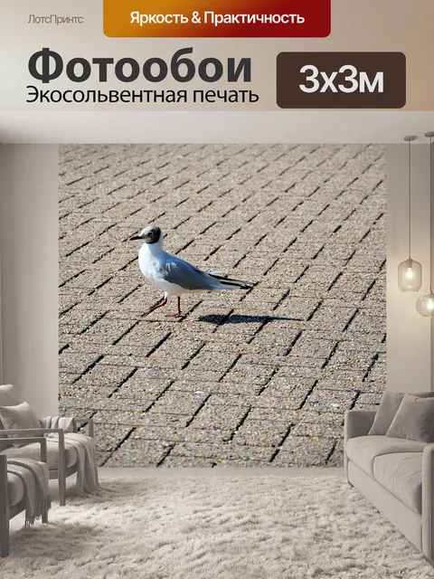 Фотообои Птицы