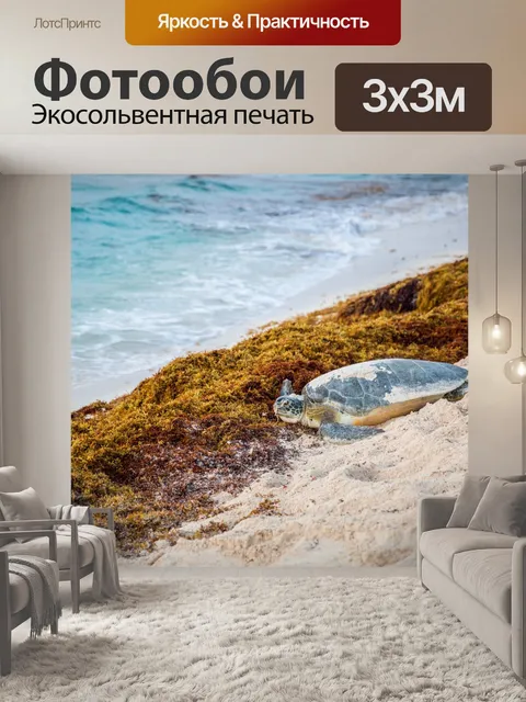 Фотообои Морская черепаха