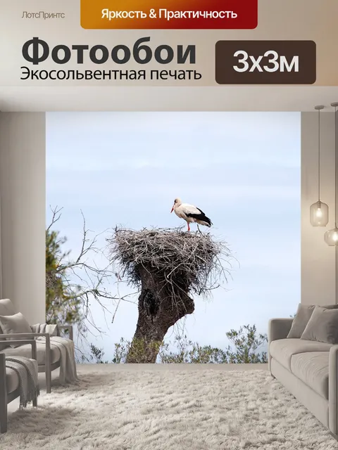 Фотообои Аист