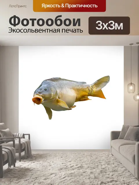 Фотообои Карп