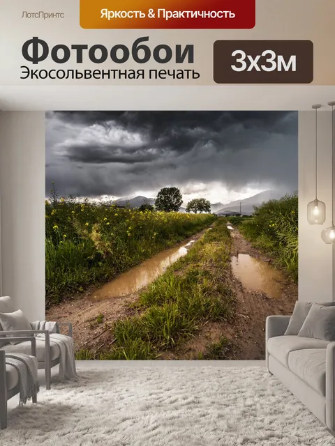 Фотообои Поле с лужами