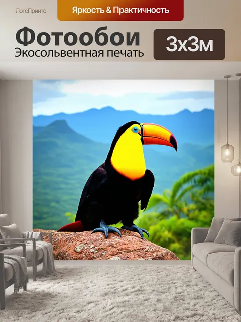 Фотообои тукан, сидящий на скале с видом на горы