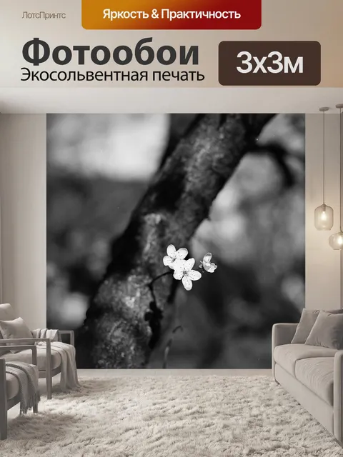 Фотообои Цветение сливы