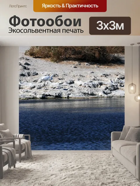 Фотообои Большая белая цапля на Солтон-Си озера