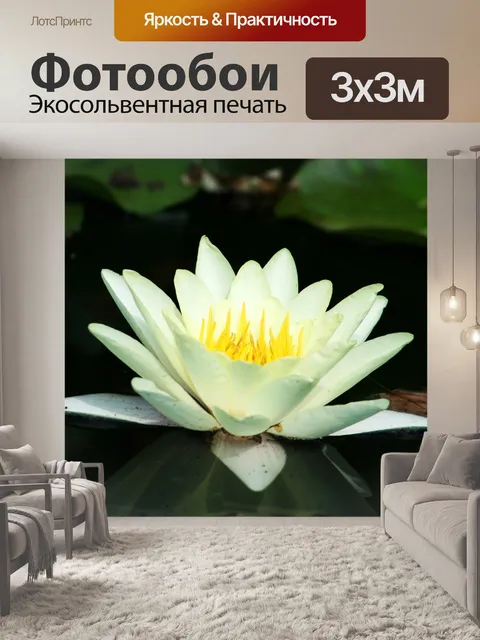 Фотообои Водяная лилия