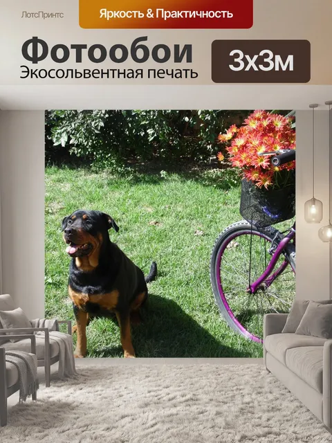 Фотообои Велосипед