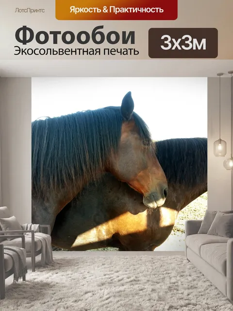 Фотообои Лошади