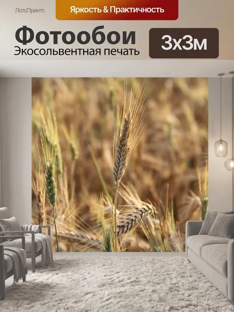 Фотообои Кукурузное поле