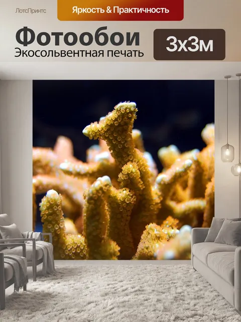 Фотообои Коралл