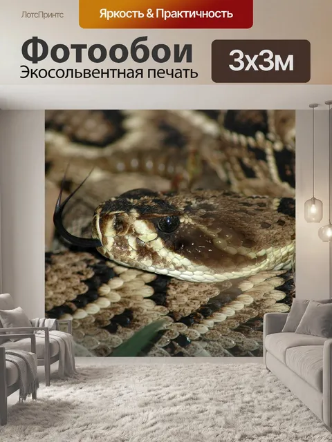 Фотообои Гремучая змея
