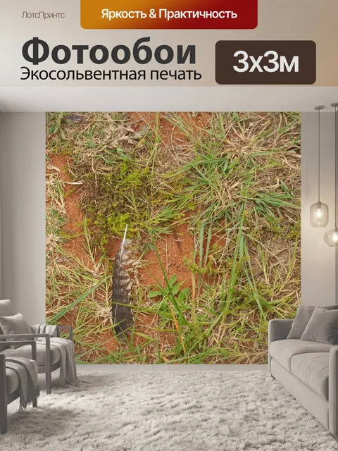 Фотообои черно-белое перо птицы