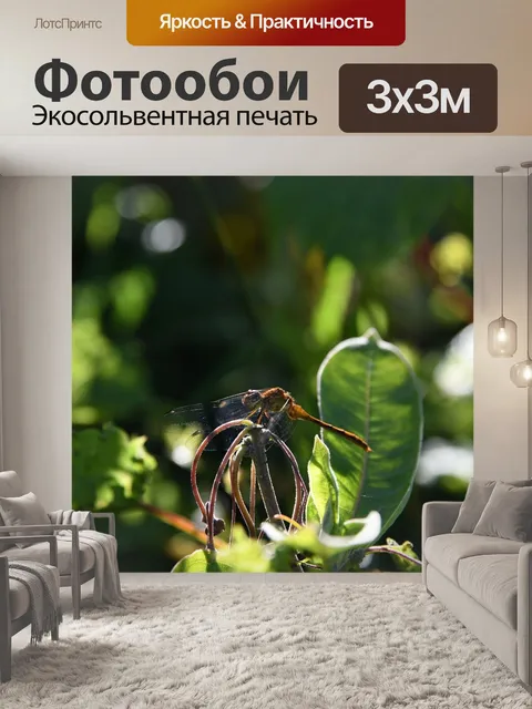 Фотообои Стрекоза