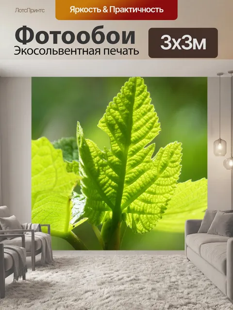 Фотообои Лист