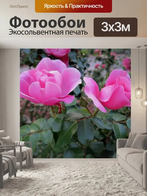 Фотообои Розы