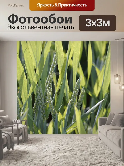 Фотообои Пшеничное поле