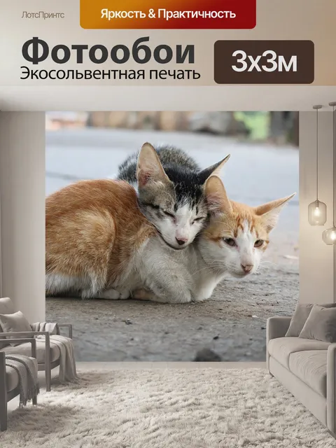 Фотообои Пара