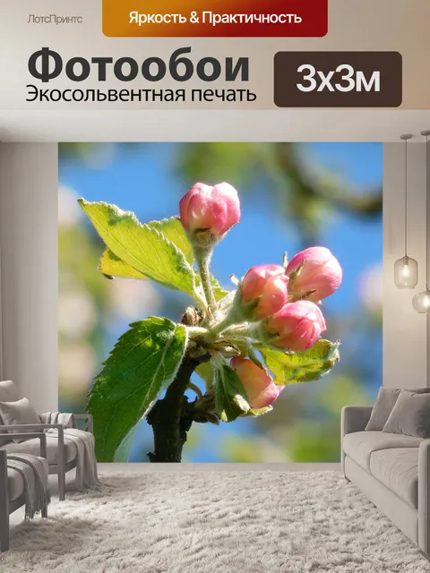 Фотообои Вишни