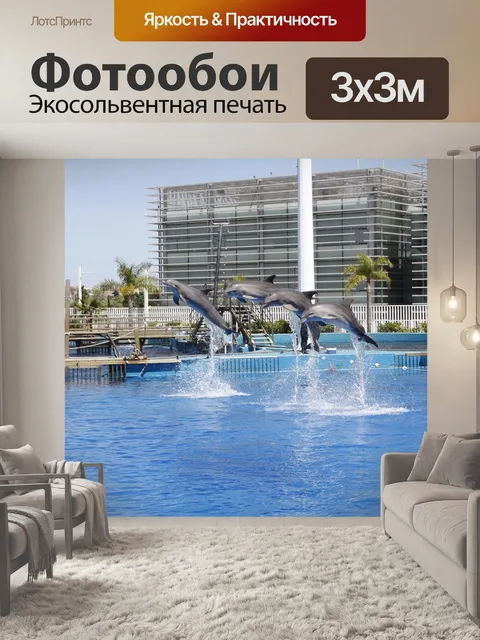 Фотообои Дельфины