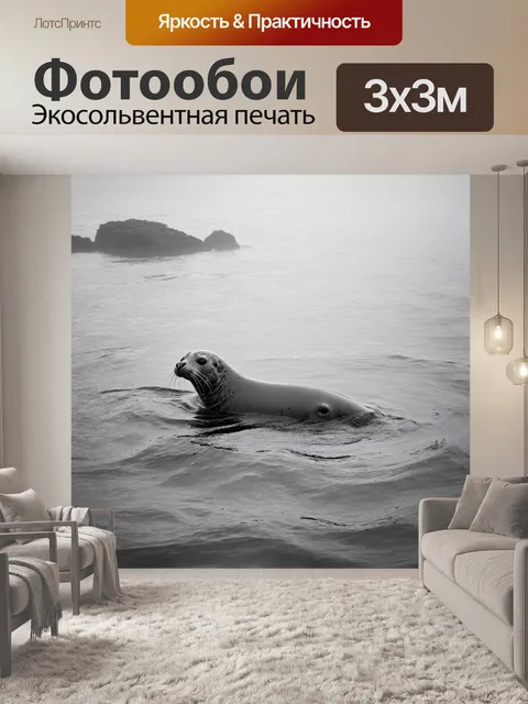 Фотообои на морской глади, затянутой туманом, серый тюлень плывет в поисках пищи