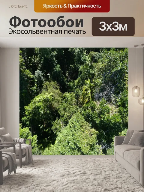 Фотообои Лес