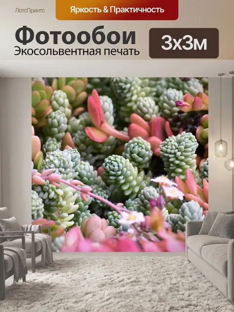 Фотообои Суккуленты