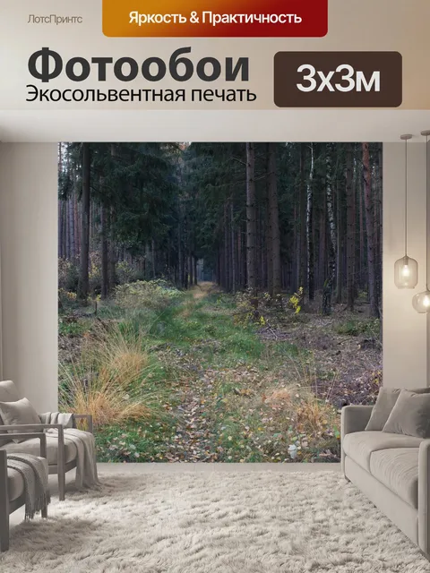 Фотообои Лес