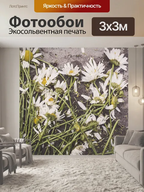 Фотообои Разорванные ромашки
