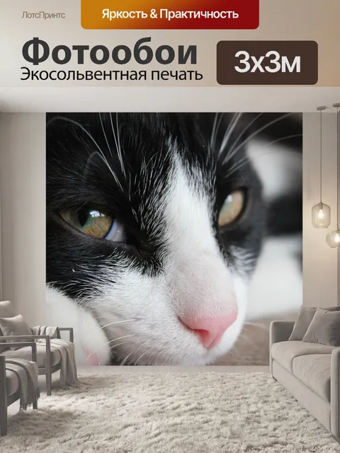 Фотообои Кошка