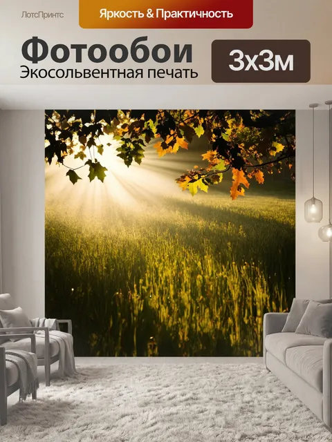 Фотообои поле, пронзенное мягким светом солнечных лучей, пробивающихся сквозь листья деревьев