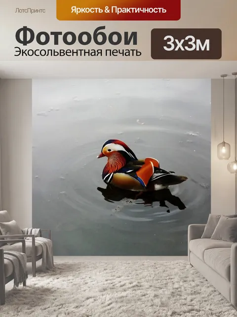 Фотообои Утка