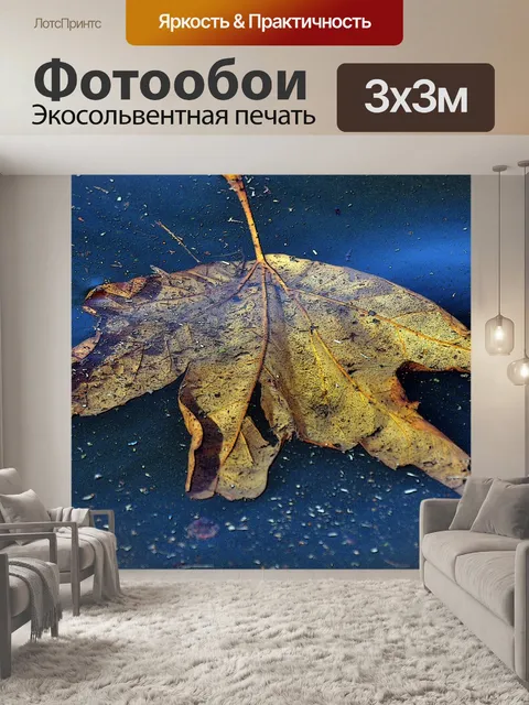 Фотообои Лист, плавающей в воде