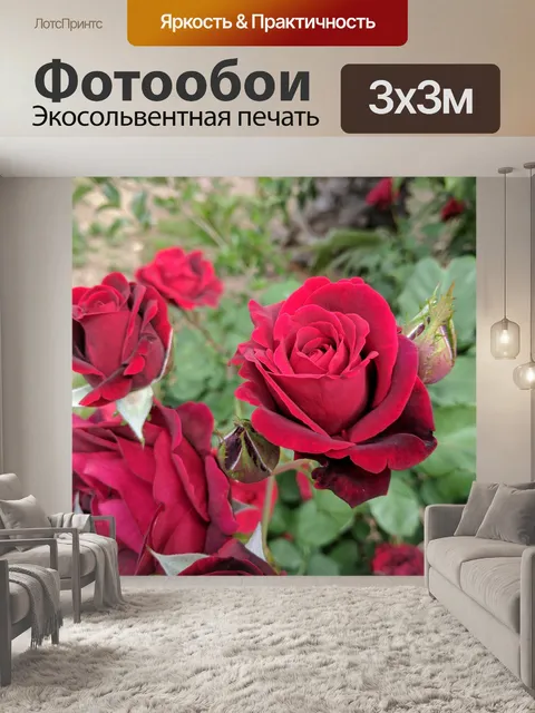 Фотообои Розовый куст