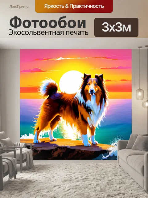Фотообои грубая колли на фоне яркого заката над морем