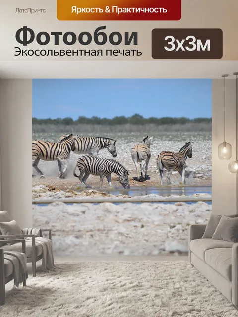 Фотообои Многие зебр
