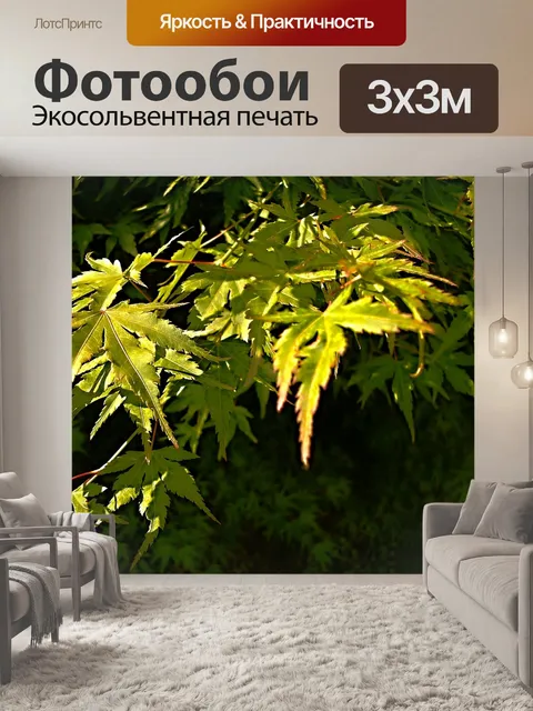 Фотообои Листья