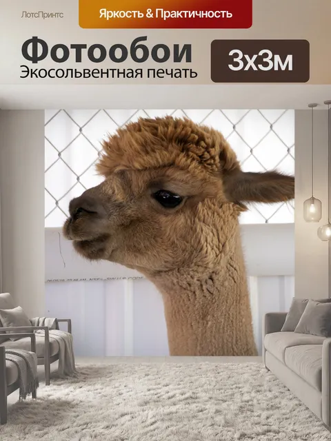 Фотообои Альпака