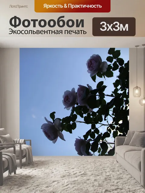 Фотообои Розы