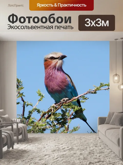 Фотообои Птица