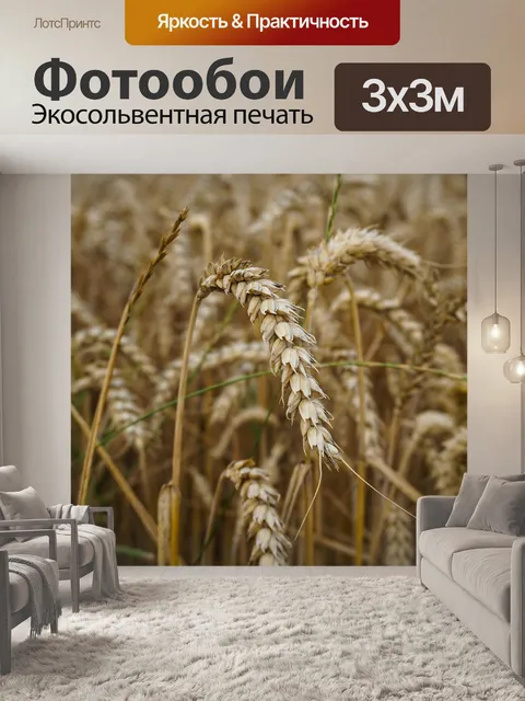 Фотообои Пшеница