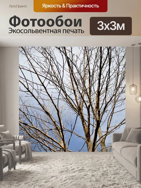 Фотообои Голубое небо