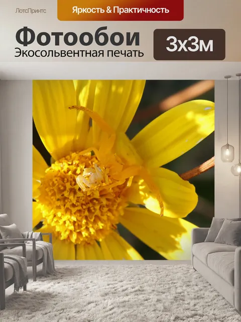 Фотообои Желтый цветок крабовый паук