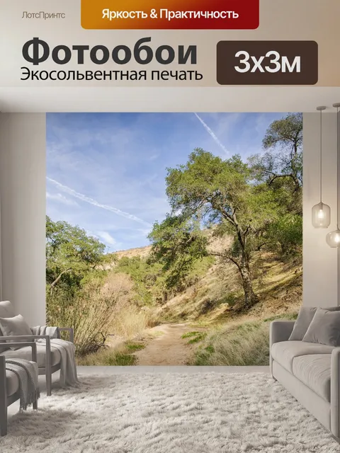 Фотообои Тропа в Хиллз